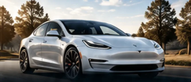 Срібляста Tesla на дорозі серед дерев